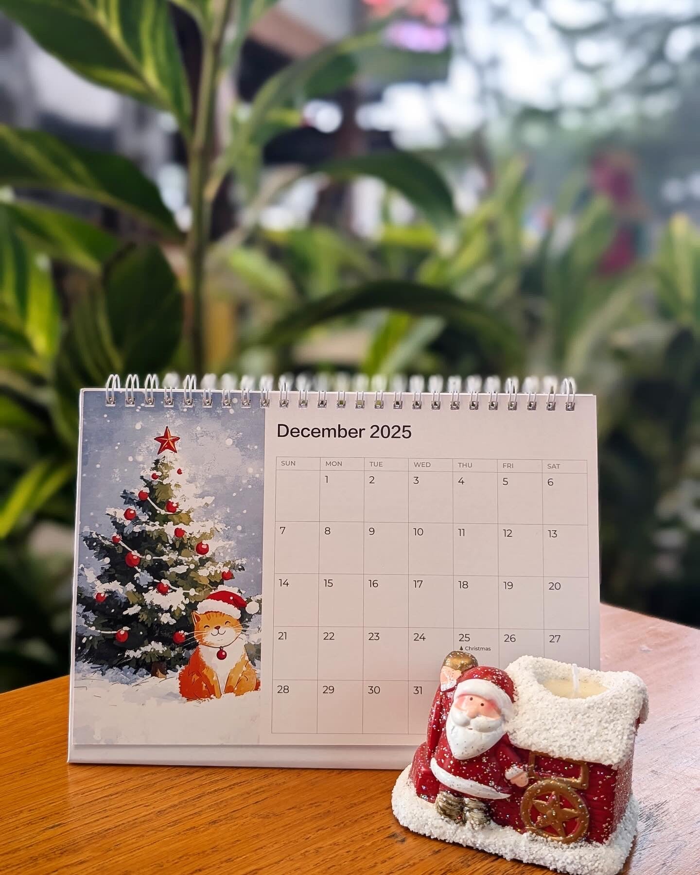 2025 Seasonal Vibe I Desk Calendar